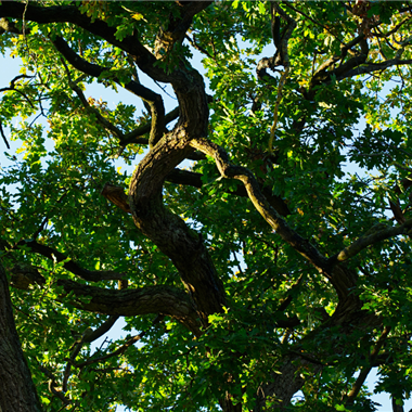 Resilience To Disruption Newsletter Article Website Banner